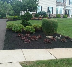 mulch-after-1 - Brady Landscaping